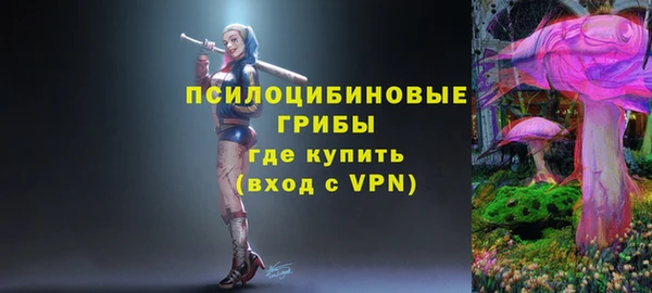 скорость Новозыбков