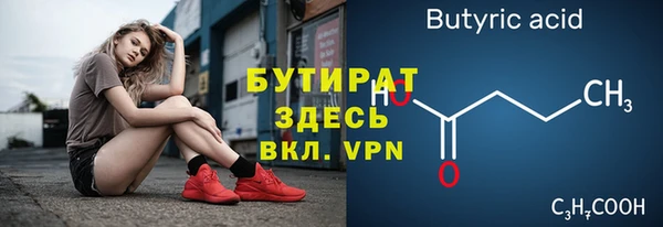СК Новодвинск