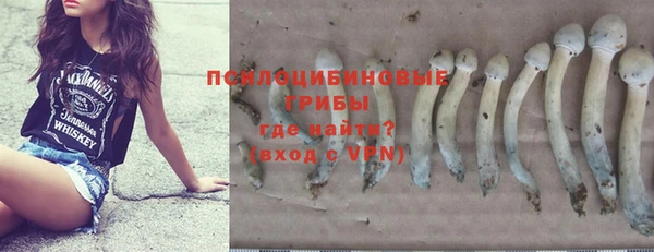 jwh Новокубанск