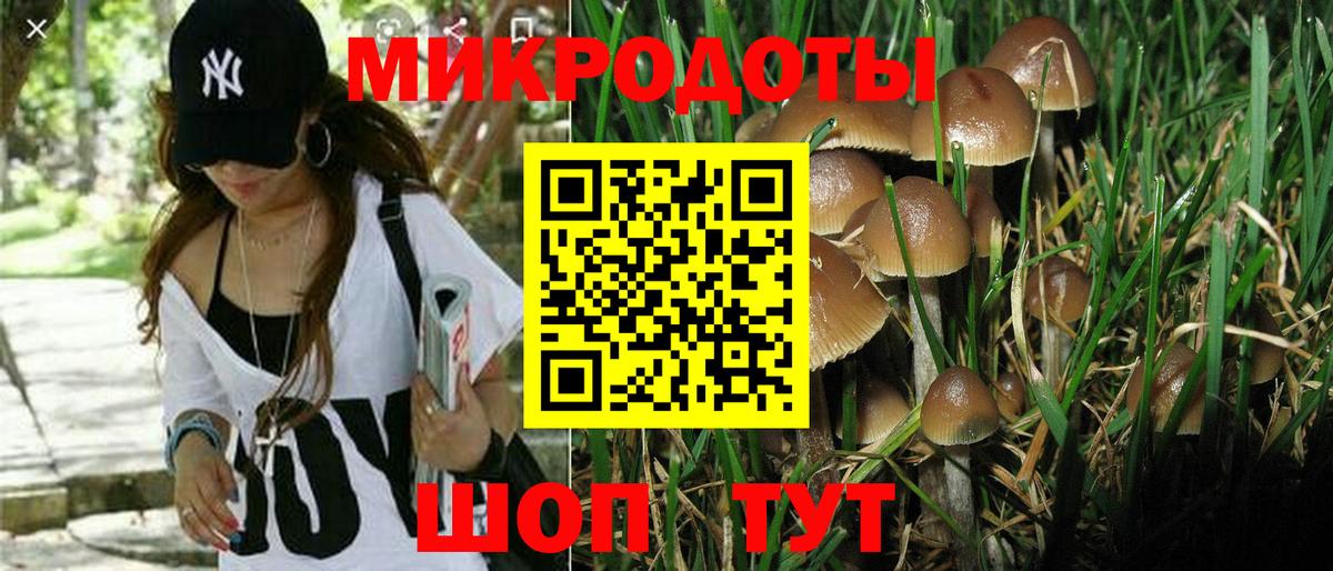 Кисловодск  Галлюциногенные грибы Psilocybine cubensis  Псилоцибиновые грибы прущие грибы  где купить наркоту  Вход с VPN 